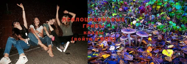 кокс Арсеньев