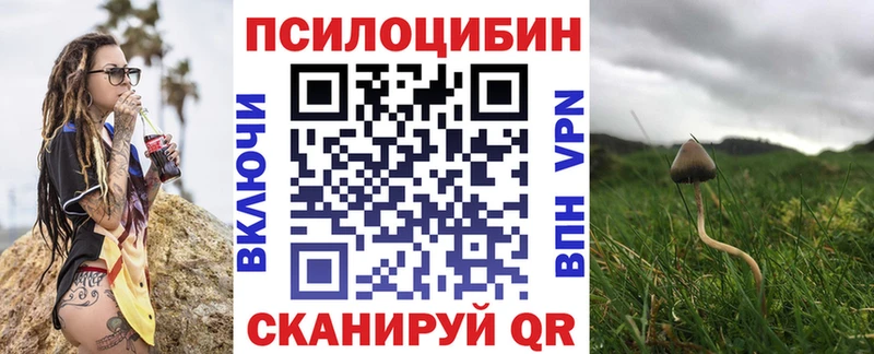 MEGA как войти  Гурьевск  Галлюциногенные грибы Magic Shrooms 