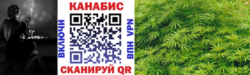купить   Гурьевск  Канабис планчик 